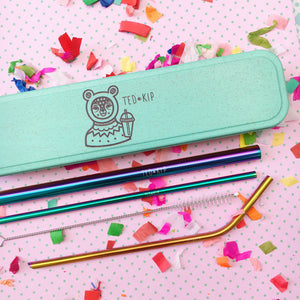 Rainbow Metal Straw Set With Mint Green Eco Wheat Plastic Carry Case