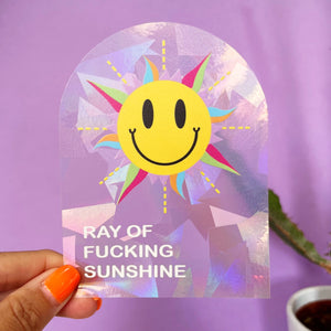 Ray Of Fucking Sunshine Suncatcher Rainbow Maker Window Sticker