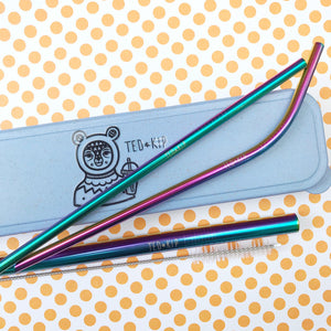 Rainbow Metal Straw Set With Blue Eco Wheat Plastic Carry Case
